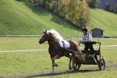 Kategorie Jugend