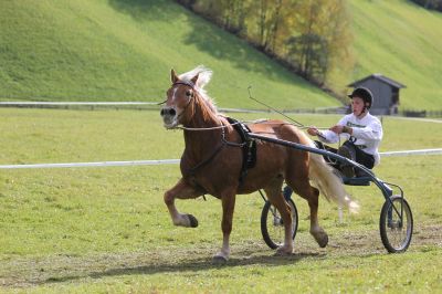 Kategorie Jugend