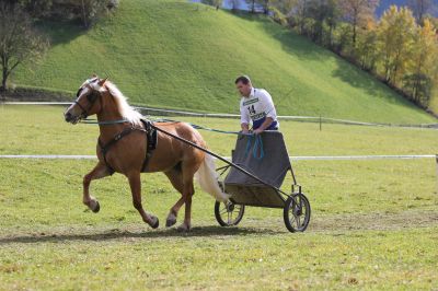 Kategorie Jugend