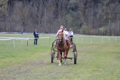 Parallelstart Showrennen