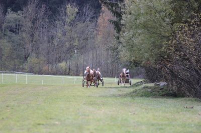 Parallelstart Showrennen