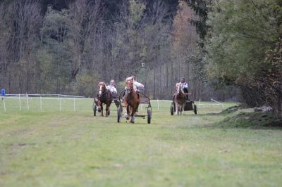 Parallelstart Showrennen