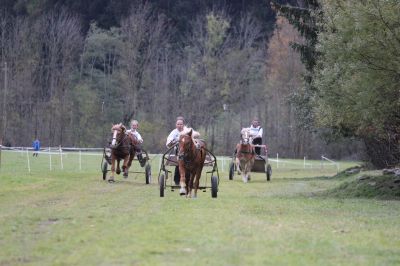 Parallelstart Showrennen