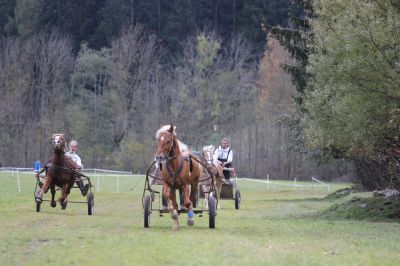 Parallelstart Showrennen