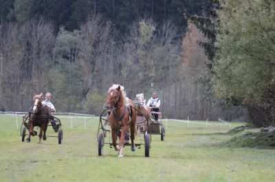 Parallelstart Showrennen