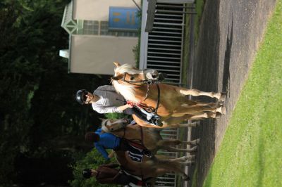1.Vorlauf
