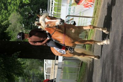 1.Vorlauf