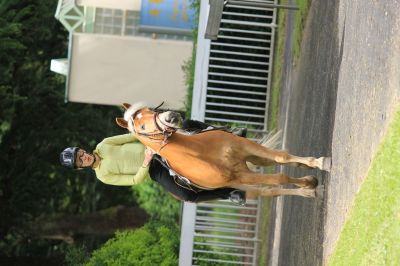 1.Vorlauf