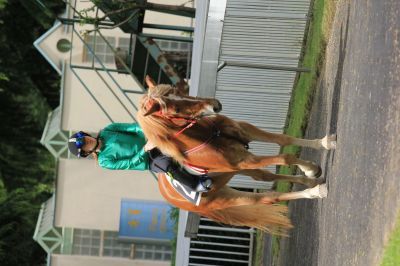 1.Vorlauf