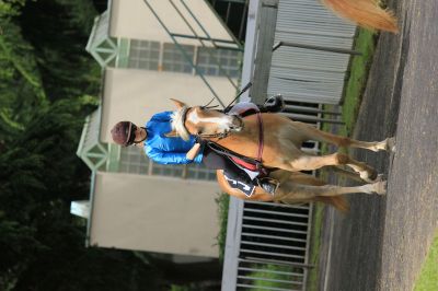1.Vorlauf