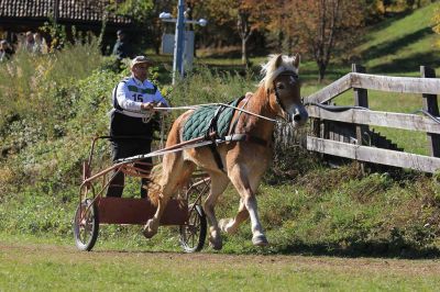 4-jährige