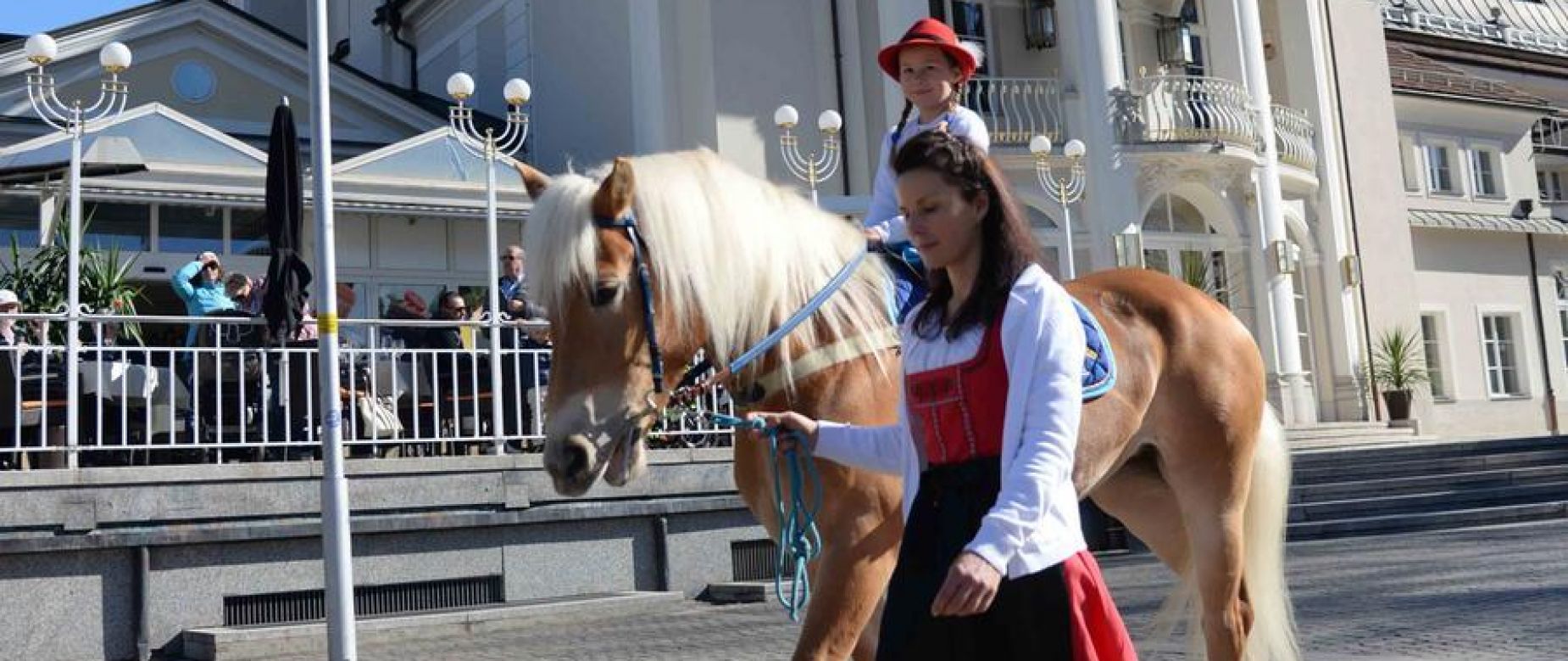 Amateursportverein Südtiroler Haflinger Pferde Sportverein