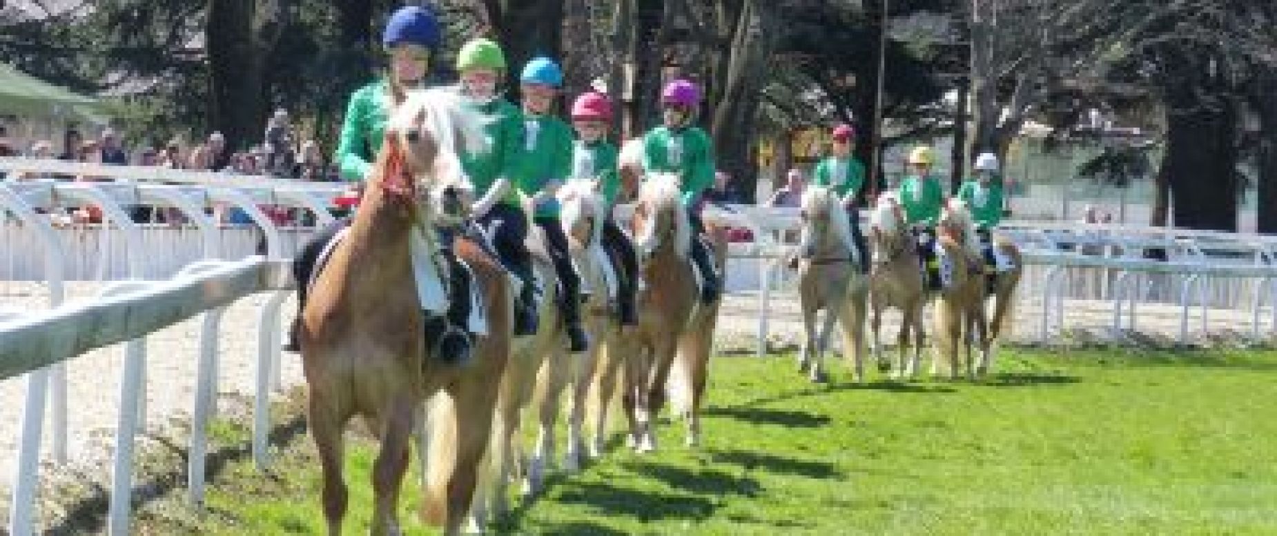 Amateursportverein Südtiroler Haflinger Pferde Sportverein